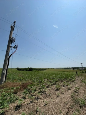 Teren extravilan - imagine 4