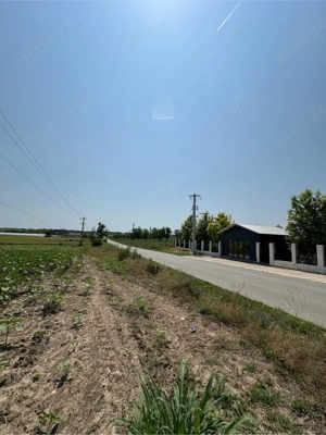 Teren extravilan - imagine 5