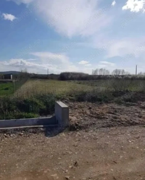 Teren intravilan Alparea 784m 