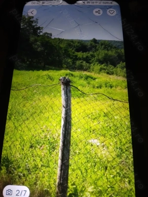 teren poiana tasad - imagine 2