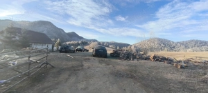 Need a car? - imagine 5