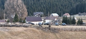 Need a car? - imagine 3