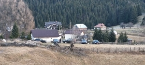 Need a car? - imagine 2