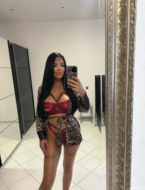 Sofia , nouă in Timișoara 