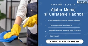 Ajutor Menaj si Curatenie Elvetia