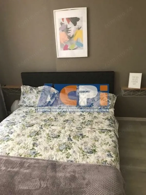 Inchiriere Apartament doua camere Grozavesti - imagine 6