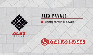 pavaj si construtii civice