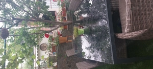 Vilă spațioasă cu etaj, curte amenajată și acces excelent   Sector 1, Șos. Chitilei