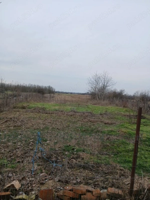 Vânzare teren și casă Grădinari jud Giurgiu - imagine 5