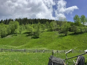 Teren de vânzare - imagine 8