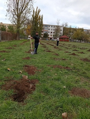 muncitori ne calificati galati cautam de munca în ori ce domeniu  - imagine 2