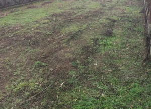 Teren Cornetu Zona str Aeroportului - imagine 2