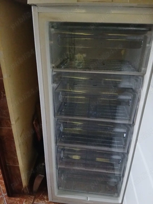 Congelator - imagine 2