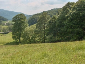 Vand teren intravilan Cheia Prahova - imagine 3