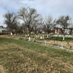 Vând teren pentru casă la periferia Bucurestiului - imagine 6