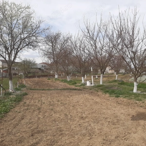 Vând teren pentru casă la periferia Bucurestiului - imagine 5