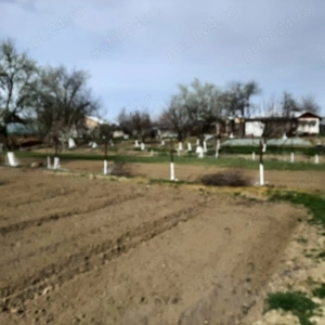 Vând teren pentru casă la periferia Bucurestiului - imagine 7