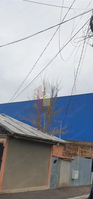 Casa zona Kaufland Dorobanti -6 camere 272 mp - imagine 6