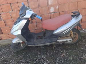 Set nou de 80 filtru sport  curea cauciuc soate noi - imagine 4