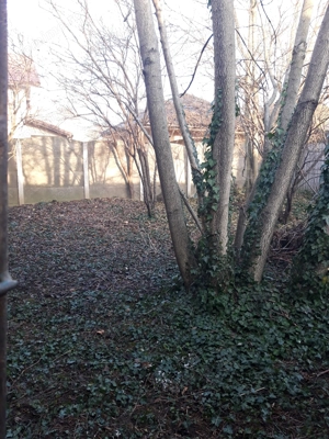  vanzare teren  zona iosefin