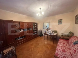 Casă cu teren generos de 6000 mp în Viile Satu Mare – zonă liniștită - imagine 3