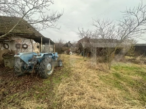 Casă cu teren generos de 6000 mp în Viile Satu Mare – zonă liniștită - imagine 19