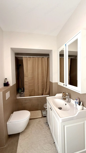 CASA CU TEREN GENEROS - imagine 9