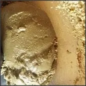 Unt raw vegan din seminte de floarea soarelui- crude, neprajite - borcan 350grame 