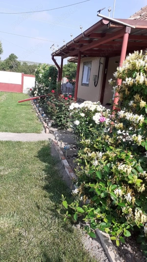 Vand casa in comuna Chinteni sat Feiurdeni - imagine 4