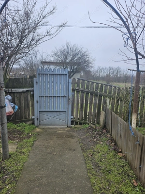 Comuna Vâlcelele Jud. Călărași, Str. MIrcea cel Bătrân - imagine 10