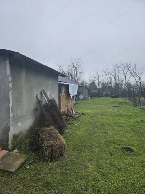 Comuna Vâlcelele Jud. Călărași, Str. MIrcea cel Bătrân - imagine 3