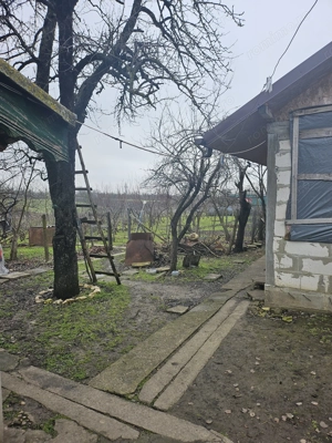 Comuna Vâlcelele Jud. Călărași, Str. MIrcea cel Bătrân - imagine 8