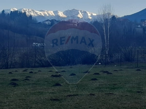 Teren 1,404mp Zarnesti / Strada FN - imagine 11