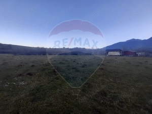 Teren 1,404mp Zarnesti / Strada FN - imagine 7