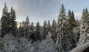 Apartament de vanzare, 2 camere, Predeal, zona Belverede - imagine 2