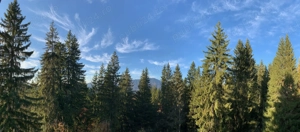 Apartament de vanzare, 2 camere, Predeal, zona Belverede