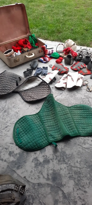 Şa pentru  călărie de vinzare  - imagine 4