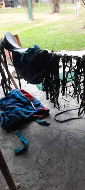 Şa pentru  călărie de vinzare 