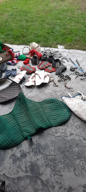 Şa pentru  călărie de vinzare  - imagine 5