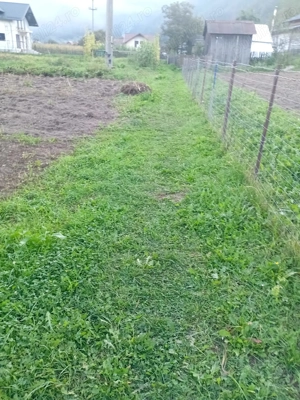 De vanzare teren in zonă de munte Neamt Borca - imagine 2