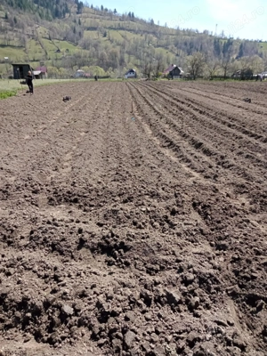 De vanzare teren in zonă de munte Neamt Borca - imagine 3