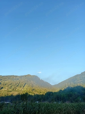 De vanzare teren in zonă de munte Neamt Borca - imagine 4