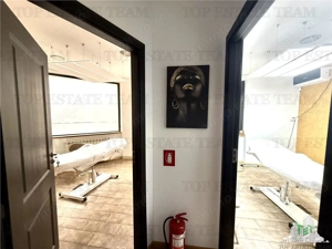 Vila de închiriat cu 7 camere ultracentral Piata Victoriei - imagine 6