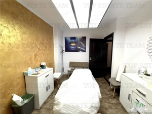 Vila de închiriat cu 7 camere ultracentral Piata Victoriei - imagine 15