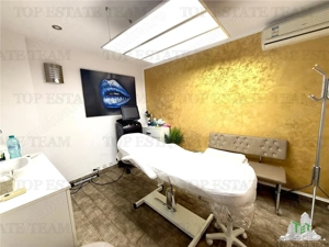 Vila de închiriat cu 7 camere ultracentral Piata Victoriei - imagine 17