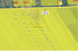 Proprietar vand teren în săcălaz - imagine 2