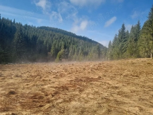 vând teren la Poiana Horea  - imagine 2