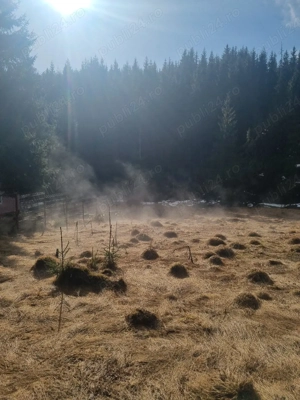 vând teren la Poiana Horea  - imagine 4