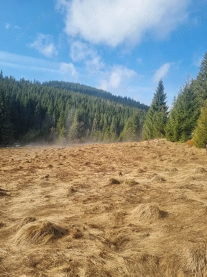 vând teren la Poiana Horea  - imagine 5