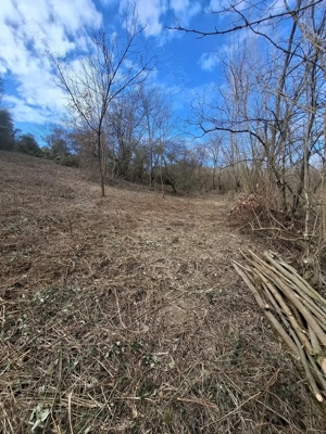 Teren de vânzare  C.Caransebesului  km 2,3 suprafață 1890 mp